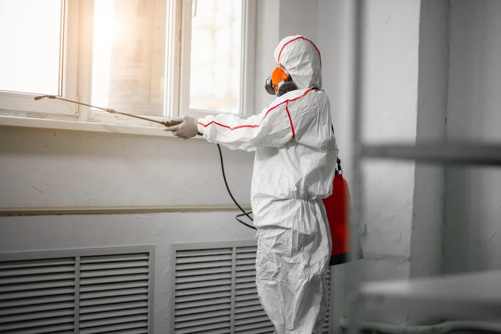 Professional mold remediation services in Mount Saint Joseph, OH